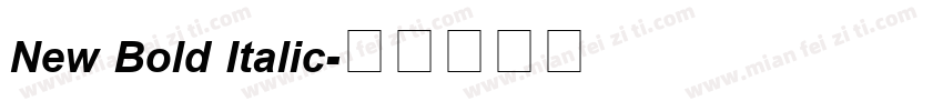New Bold Italic字体转换